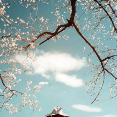 银行间债市再迎改革红利 交易商协会优化基础层企业注册发行机制 1月发行规模近8700亿元